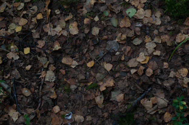 ny-mosaik-pa-den-gamla-1