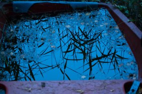 Spegelbild i båt-1.jpg