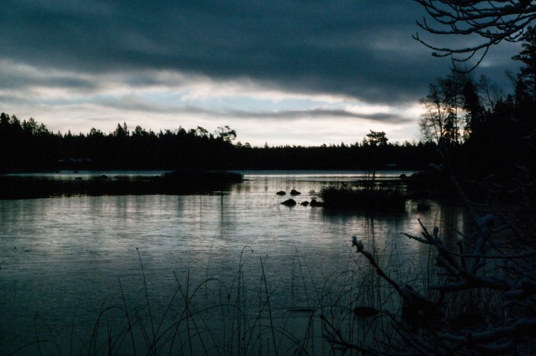 antligen-en-bla-strimma-1