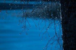 iskristaller-i-bjork-2