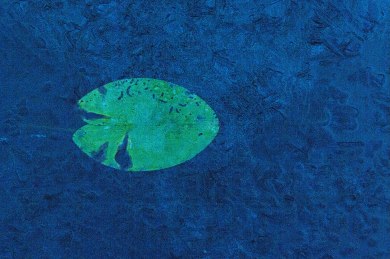 nagot-blev-kvar-i-isen-1