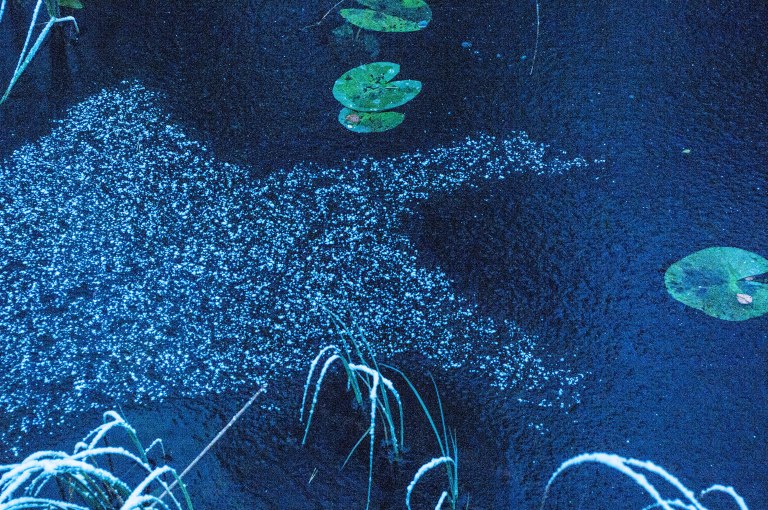 snokristaller-bildar-formationer-1