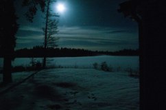 decembermane-runt-husknuten