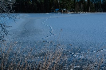 spar-i-stopis-som-vinden-blastrat