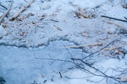 bavergnag-i-iskant-18