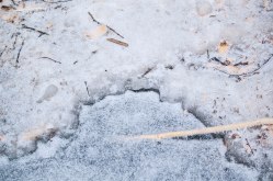 bavermaltid-i-hogvinter-19