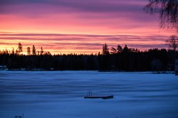 hogvintergryning-2-27