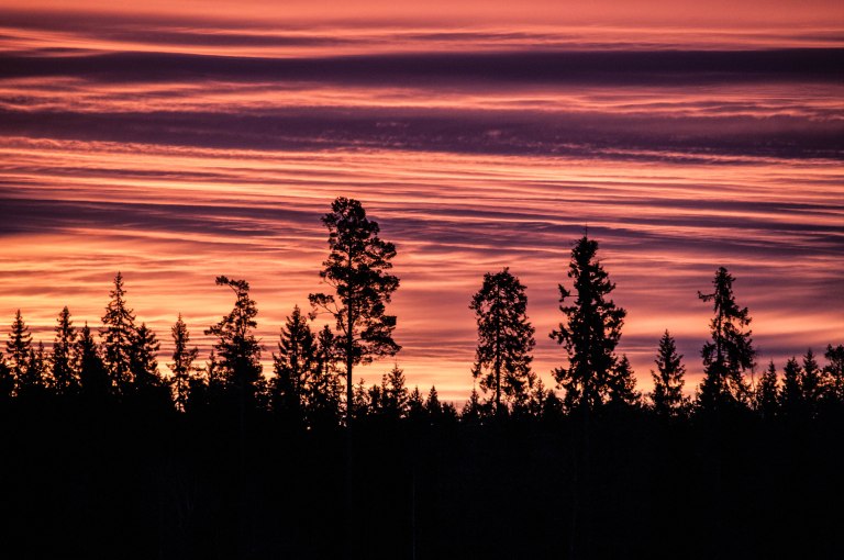 hogvintergryning-2-30