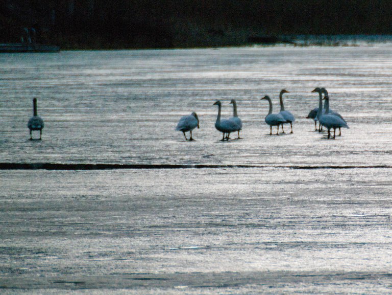 konferens efter badet