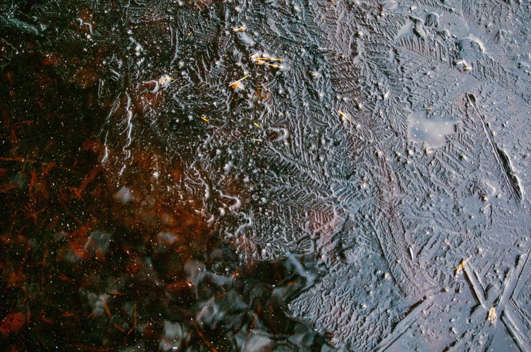 nytt isskinn en kall morgon