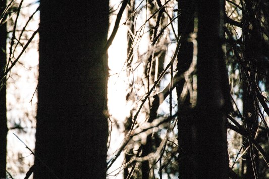 solen-leker-tittut