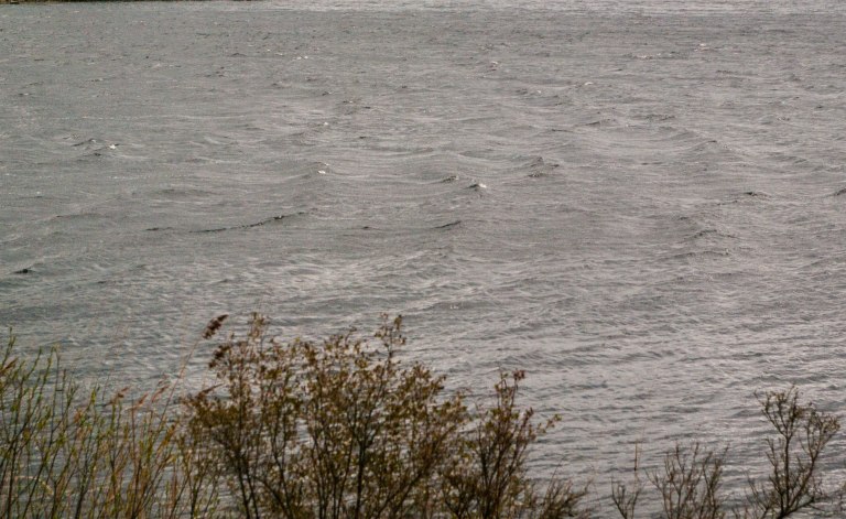 Vågorna piskade av nordan